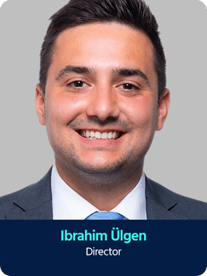 Ibrahim Ülgen, Director
