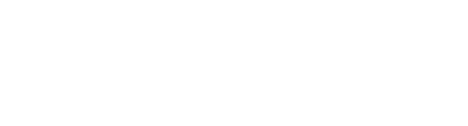 Panattoni Logo_white letters_rgb